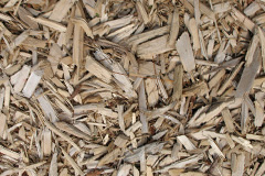 biomass boilers Hammerwood